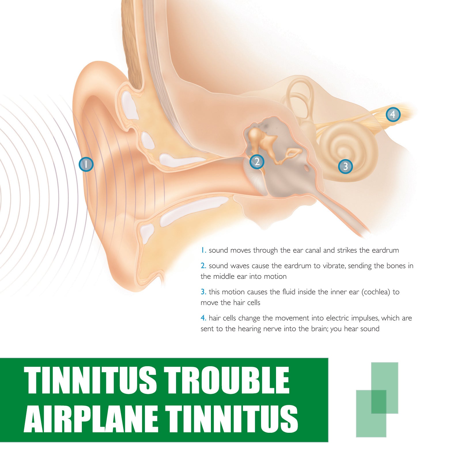 Gouttes anti-bourdonnements d'oreilles