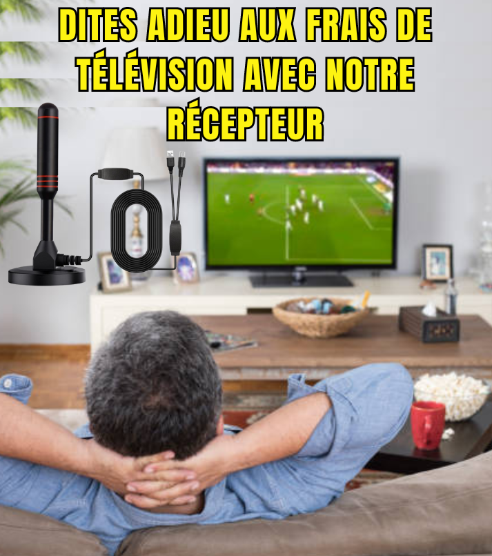 Mini antenne intérieure TV avec Une Connexion Coaxiale Standard